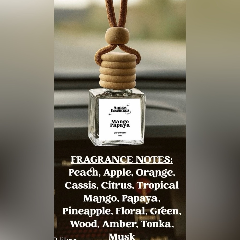 Mango Papaya Car Diffuser 🥭